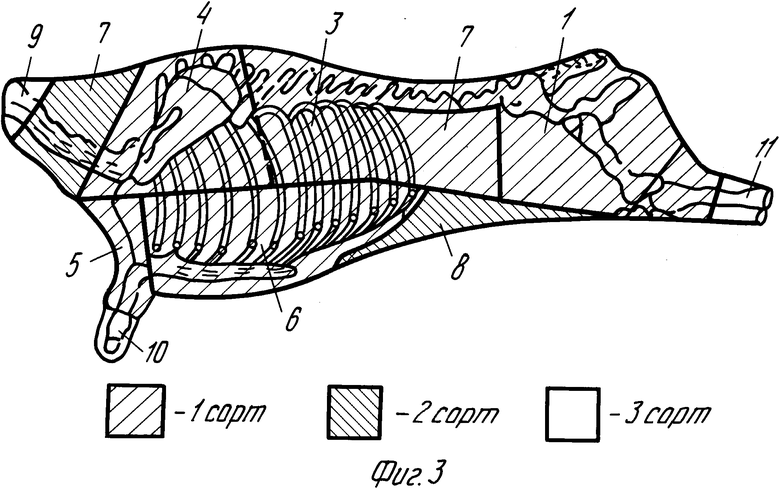 Схема разделки говяжьей туши. Сортовая разрубка туш КРС. Сортовой разруб туш говядины. Сортовая разрубка туш свиней. Разделка КРС туши схема.
