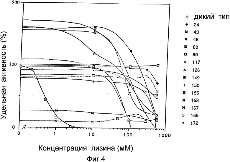 Состав 3 ак. График ДНК.