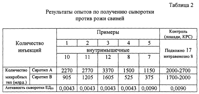 Схема лечения рожи свиней