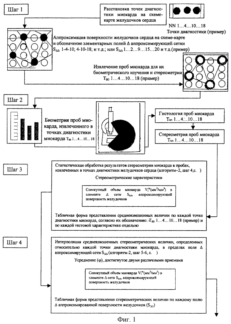 СПОСОБ ТОТАЛЬНОЙ КОЛИЧЕСТВЕННОЙ ОЦЕНКИ МИОКАРДА ЖЕЛУДОЧКОВ СЕРДЦА ПО  РЕЗУЛЬТАТАМ ВЫБОРОЧНОГО СТЕРЕОЛОГИЧЕСКОГО АНАЛИЗА. Российский патент 2003  года RU 2199149 C2. Изобретение по МКП G06F19/00 G06F159/00 A61B10/00  G01N33/48 .