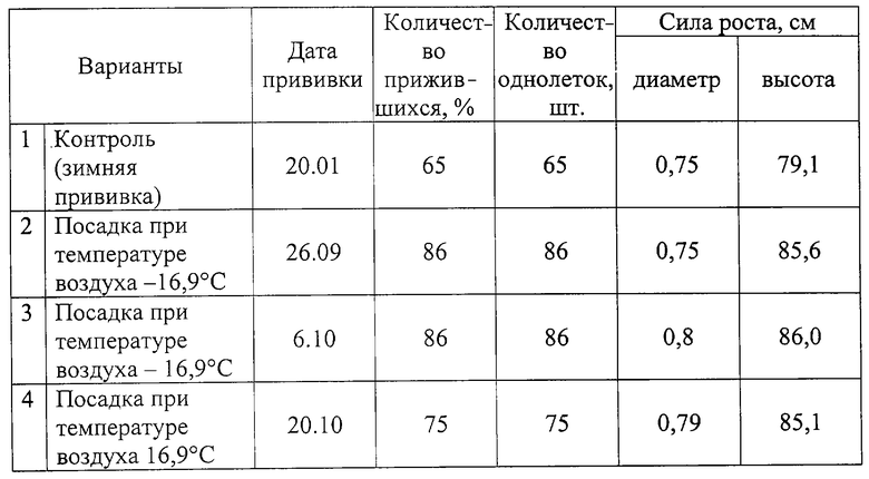 Сила роста. Ротационная таблица саженцев плодовых. При какой температуре можно делать прививку. Средняя температура воздуха для плодовых культур. Бланк дневник поступления саженцев плодовых.