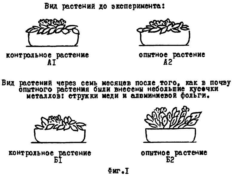 Контрольное растение. Электростимуляция растений. Способ электростимуляции жизнедеятельности растений. Схема электростимуляции роста растений. Влияние слабого электрического тока на рост растений.