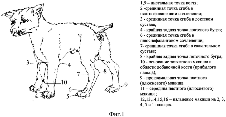 Книги о животных - Просмотр темы - Форумы на 5-vekov.ru