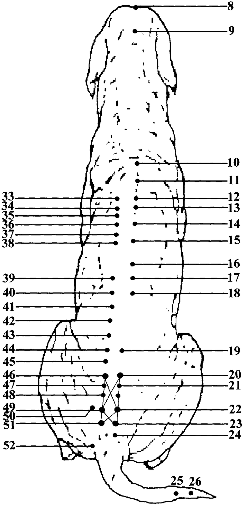 Акупунктурные точки у собак схема с описанием