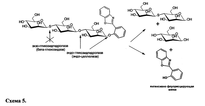 Альфа глюкозидаза. Целлюлаза фермент формула. Бета глюкозидаза. Бета глюканаза фермент. Альфа глюкозидаза фермент реакция.