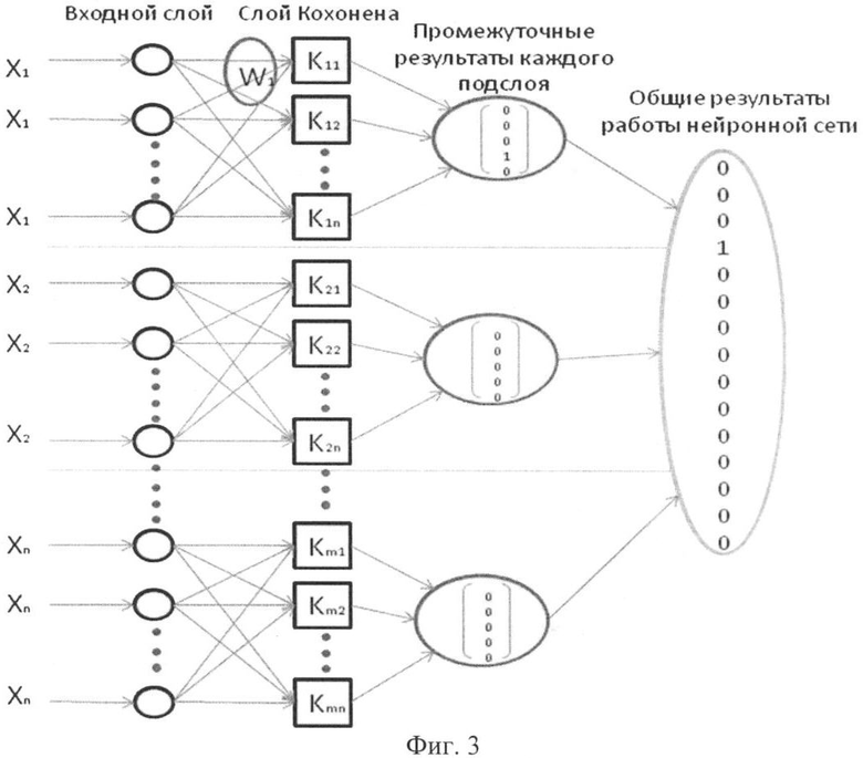 Неизвестной структуре. Структура сети Кохонена. Одномерная сеть Кохонена. Структура сети Кохонена. Процедура конкуренции.. Структура сети Кохонена Хайкин.