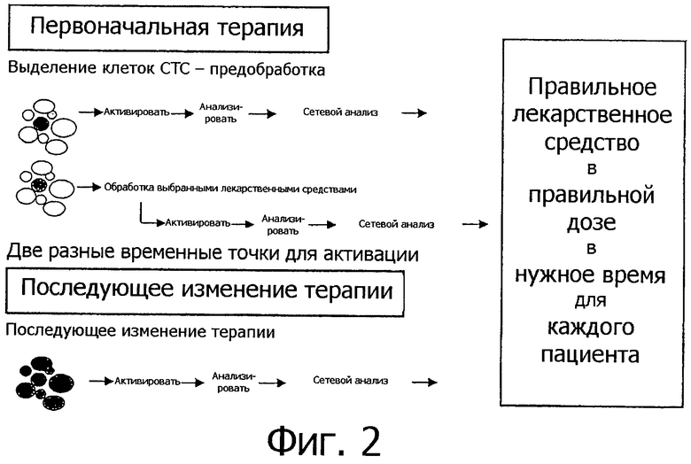 При возбуждении выделяется прозрачная