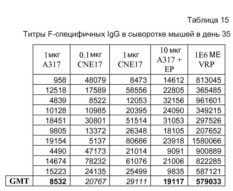 завершились отборочные соревнования Московской области к Всероссийским соревнова