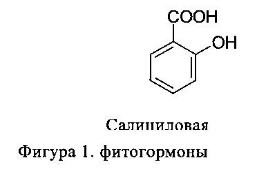 Са кислота