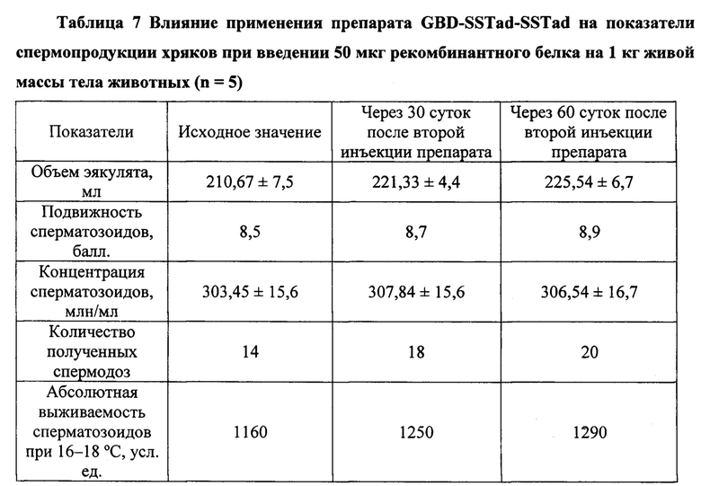 Тема Мужская половая система (Продолжение)