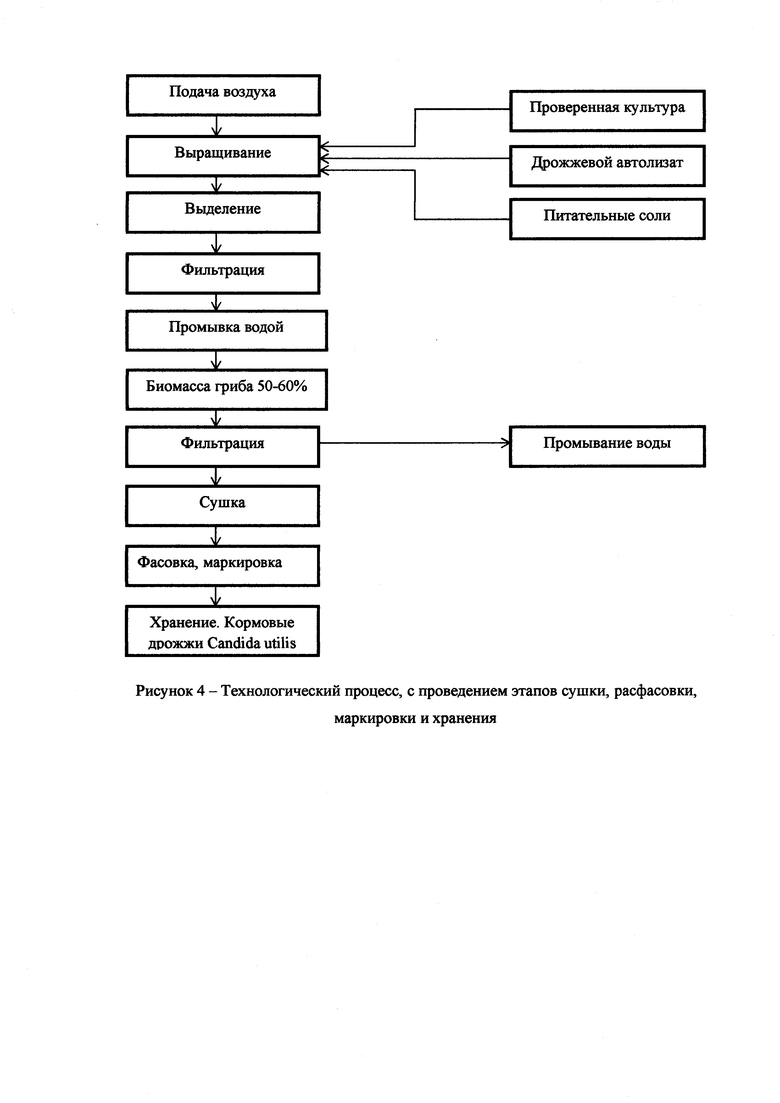 Схема получения кормовых дрожжей