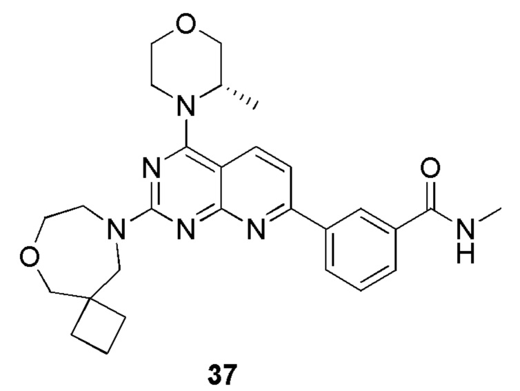 Cas 5