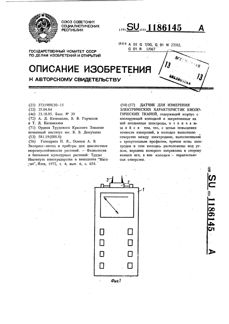 Реферат: Аманн, Макс