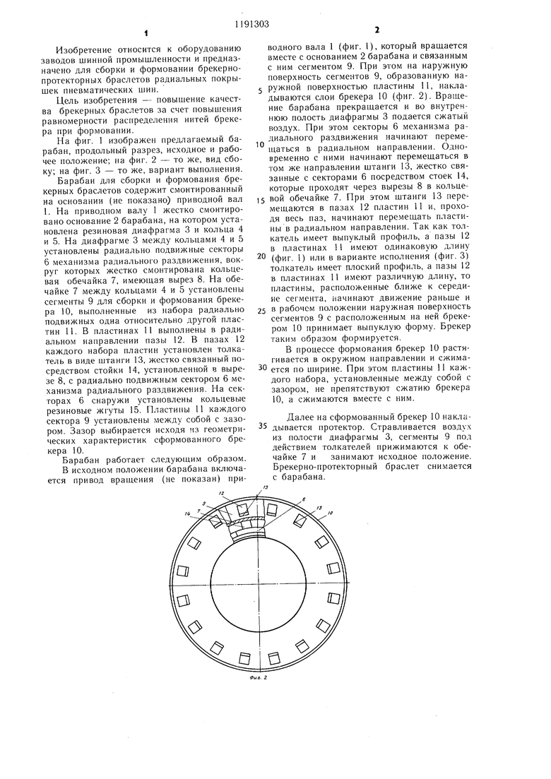 Реферат: Сегменты