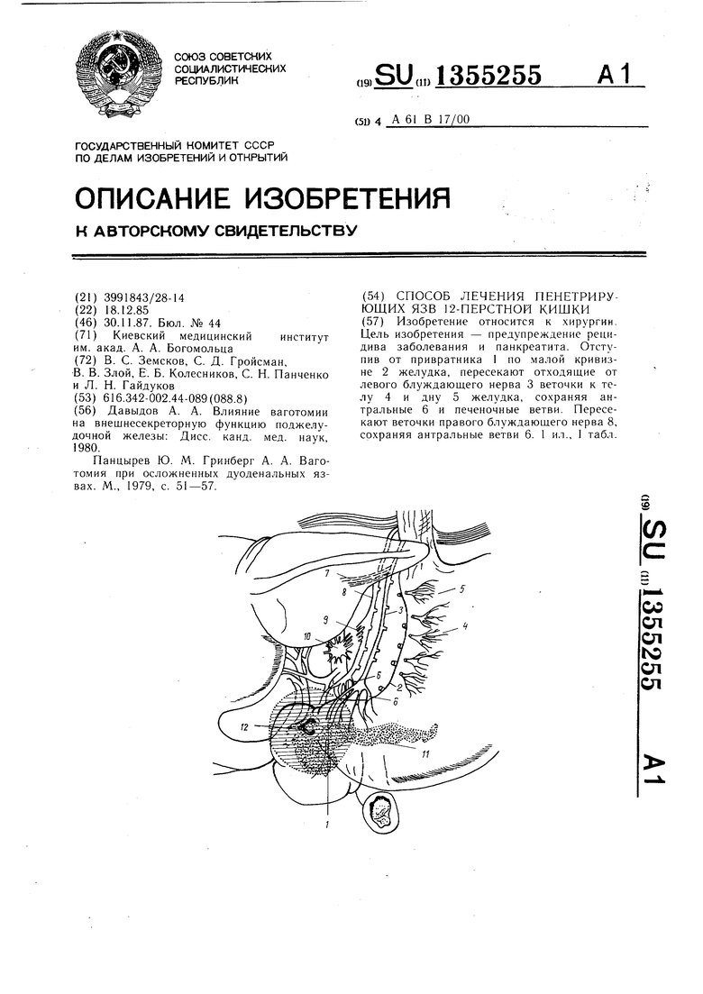 Панцем инструкция