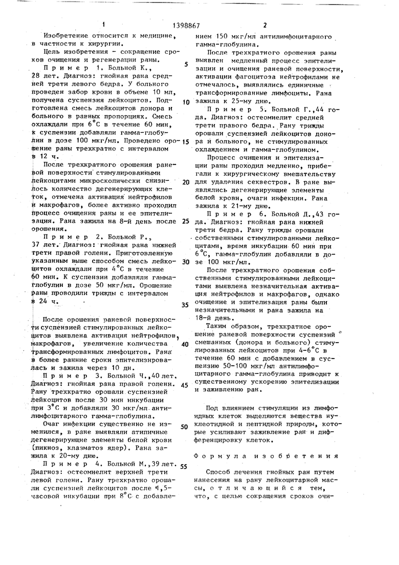 Способ лечения гнойных ран. Советский патент 1988 года SU 1398867 A1.  Изобретение по МКП A61K35/14 .