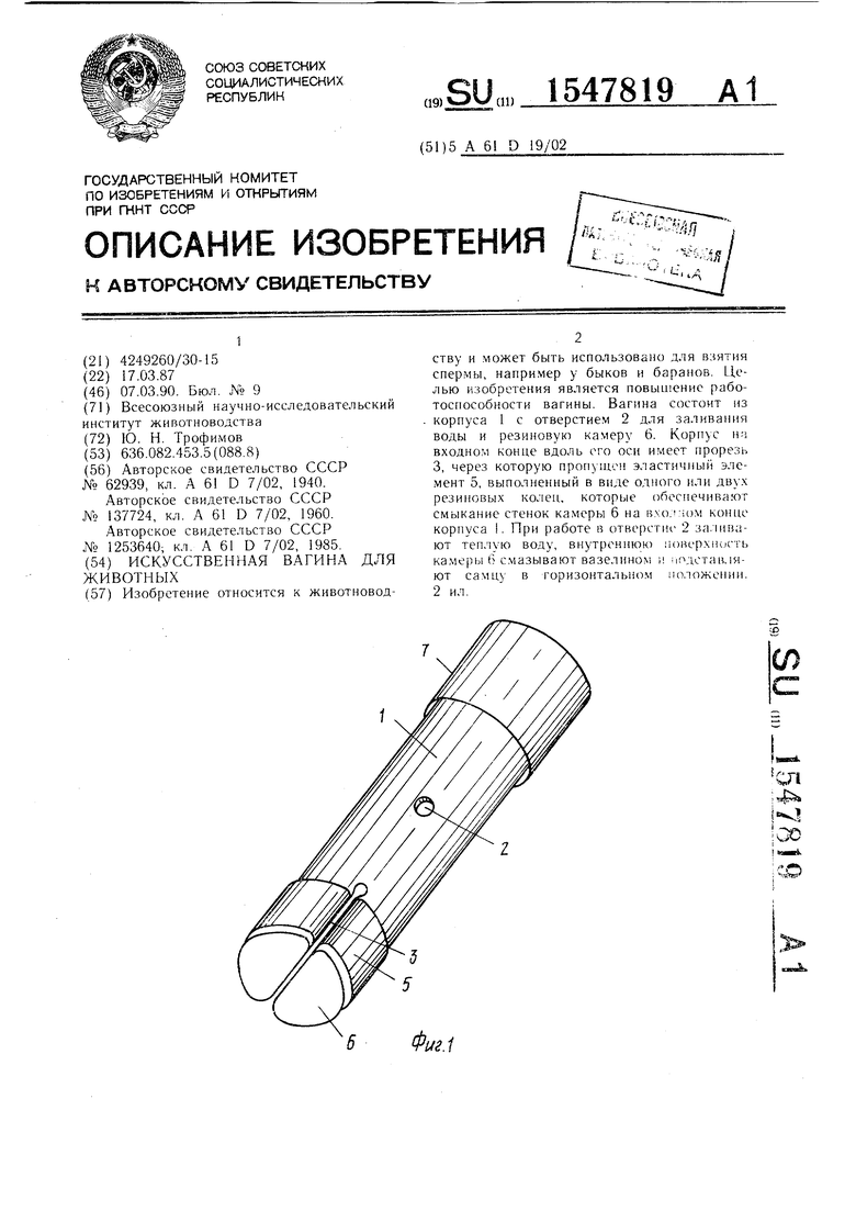 искусственная вагина для взятия спермы у быков фото 8