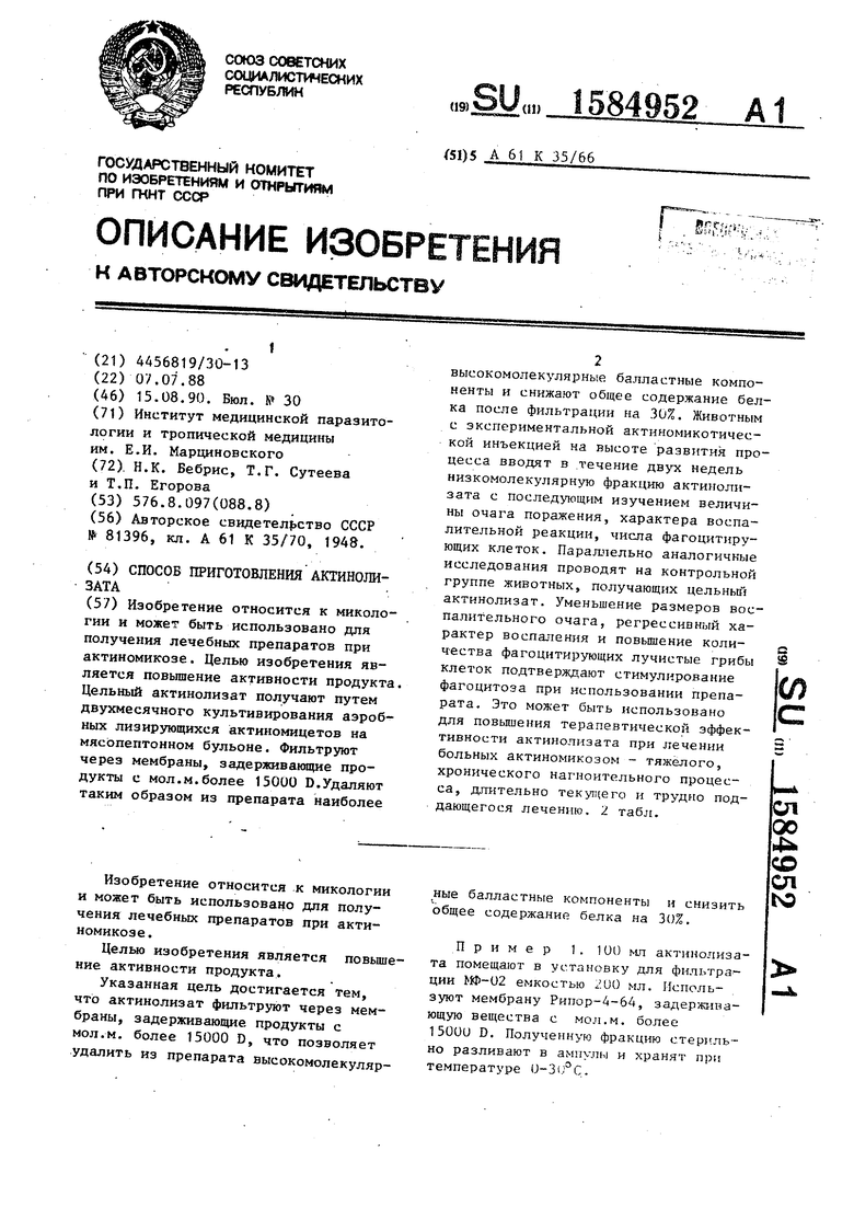 Способ приготовления актинолизата. Советский патент 1990 года SU 1584952  A1. Изобретение по МКП A61K35/66 .