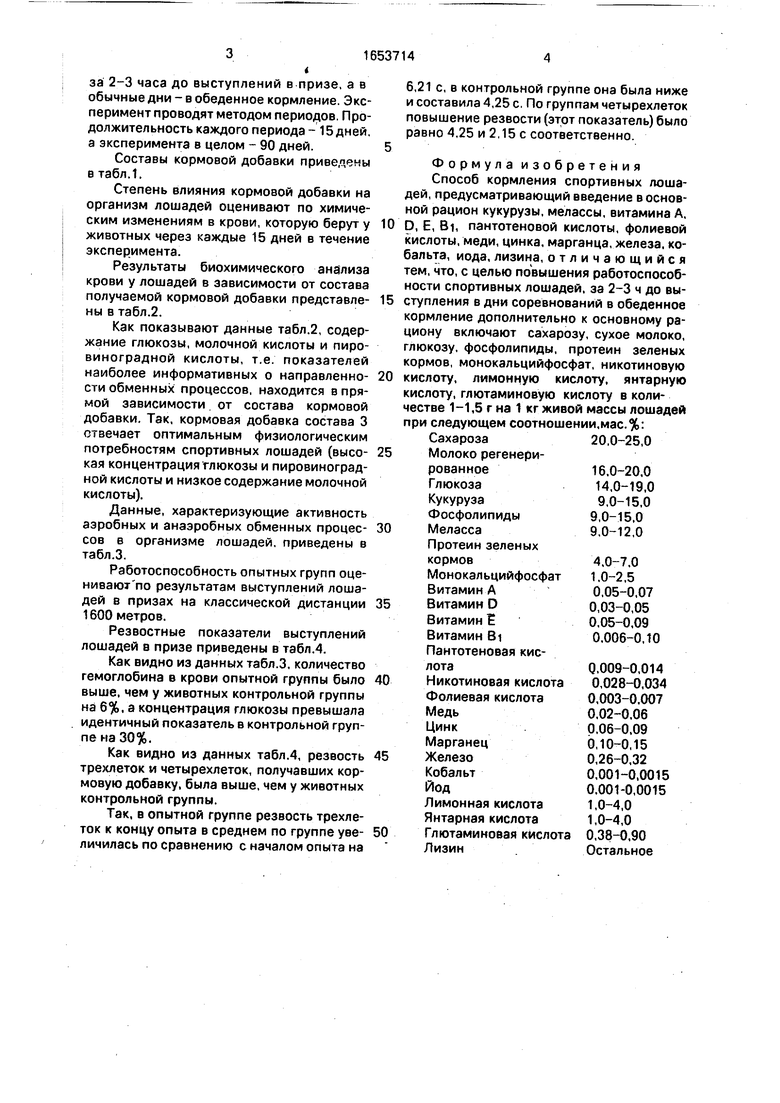 Курсовая работа: Нормы кормления и рационы для спортивных лошадей