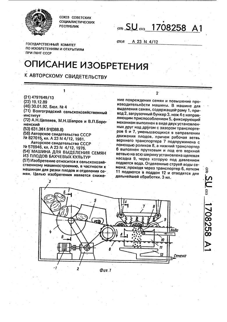 Машина для выделения семян из плодов бахчевых культур. Советский патент  1992 года SU 1708258 A1. Изобретение по МКП A23N4/12 .