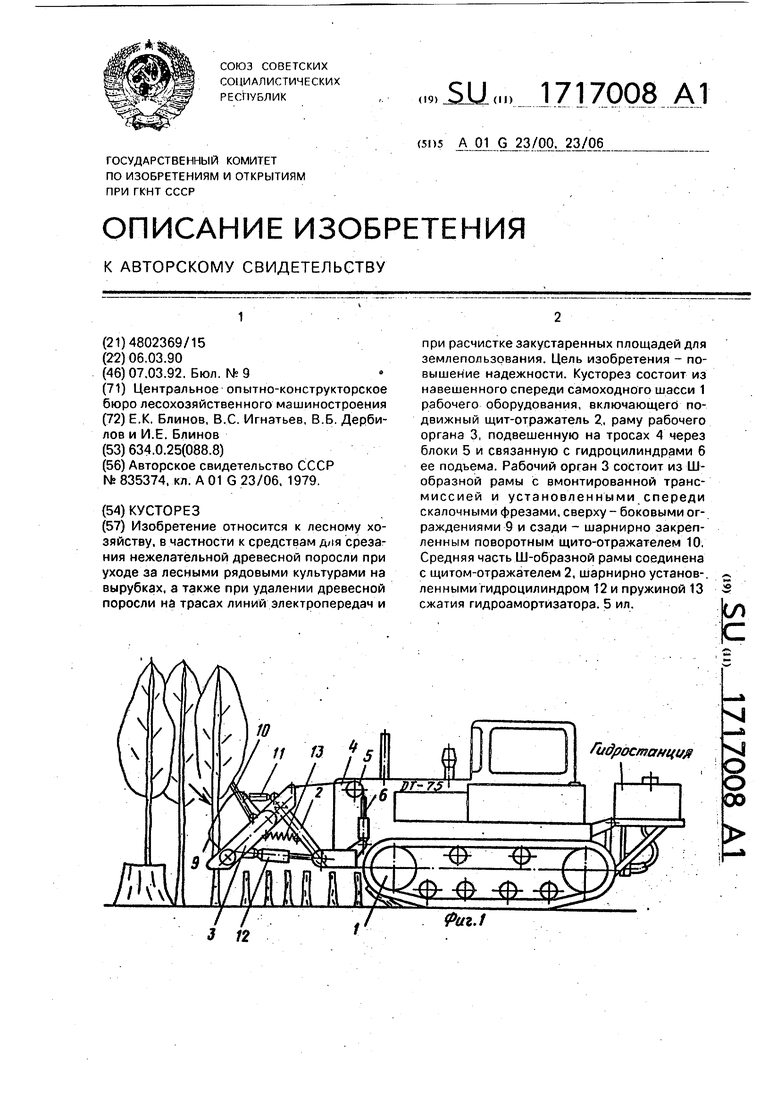 Реферат: Игнатьевы