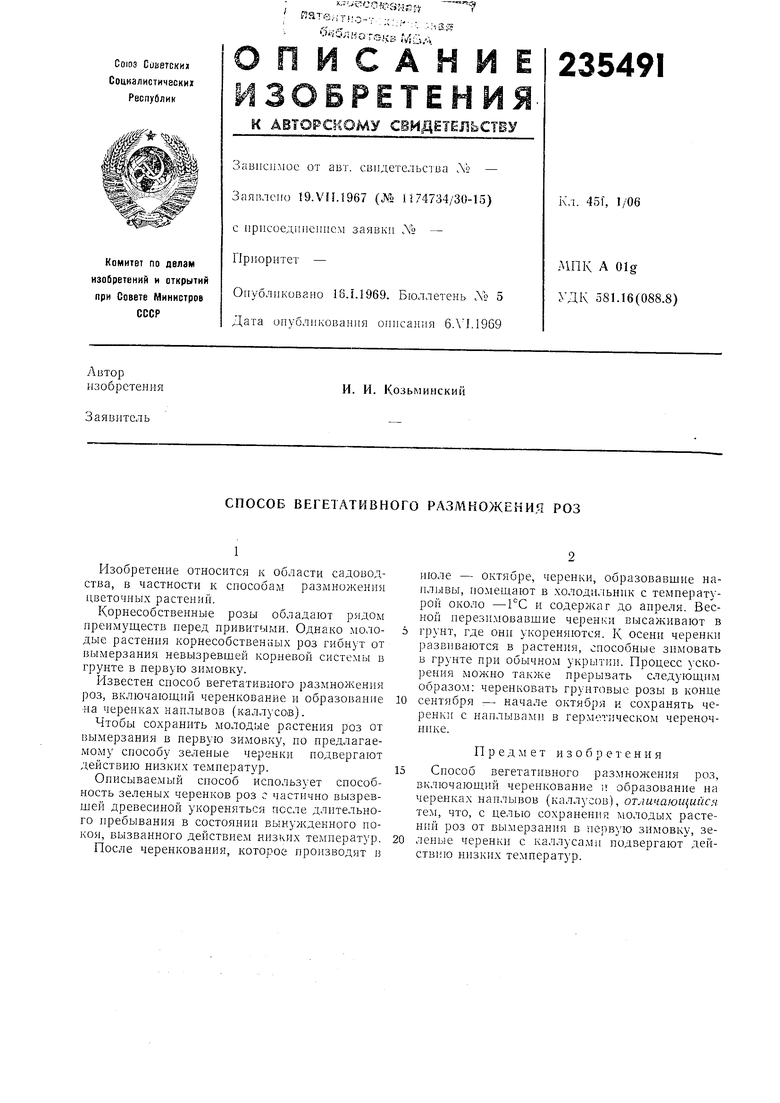 СПОСОБ ВЕГЕТАТИВНОГО РАЗМНОЖЕНИЯ РОЗ. Советский патент 1969 года SU 235491  A1. Изобретение по МКП A01G1/06 .