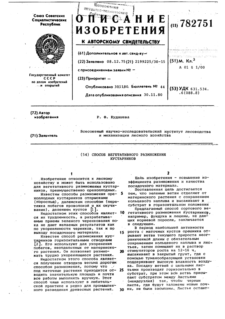 Способ вегетативного размножения кустарников. Советский патент 1980 года SU  782751 A1. Изобретение по МКП A01G1/00 .