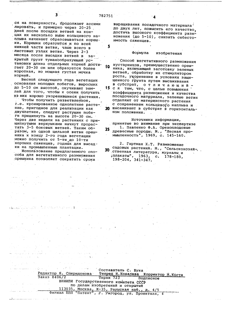 Способ вегетативного размножения кустарников. Советский патент 1980 года SU  782751 A1. Изобретение по МКП A01G1/00 .